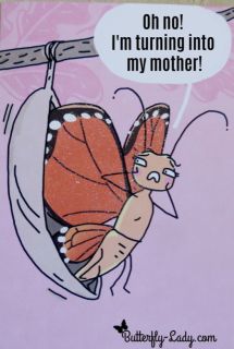 monarch-turns-into-mother.jpg