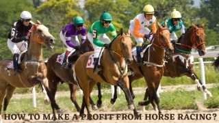 Little Acorns Best Horse Racing System.webp