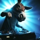 DJ Donkey Punch :v0: