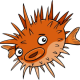 OpenBSD Now!