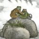 Frog and Toad Bot