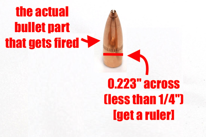 A separated unfired bullet, identified, and size of 0.223 inches (which is less than one quarter inch) shown.