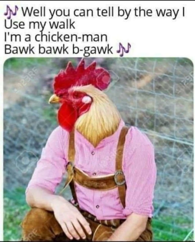 A photoshop of a man with a chicken head. The text reads, “You can tell by the way I use my walk, I’m a chicken-man Bawk b-gawk 🎶” - a parody of the song from Saturday Night Fever.