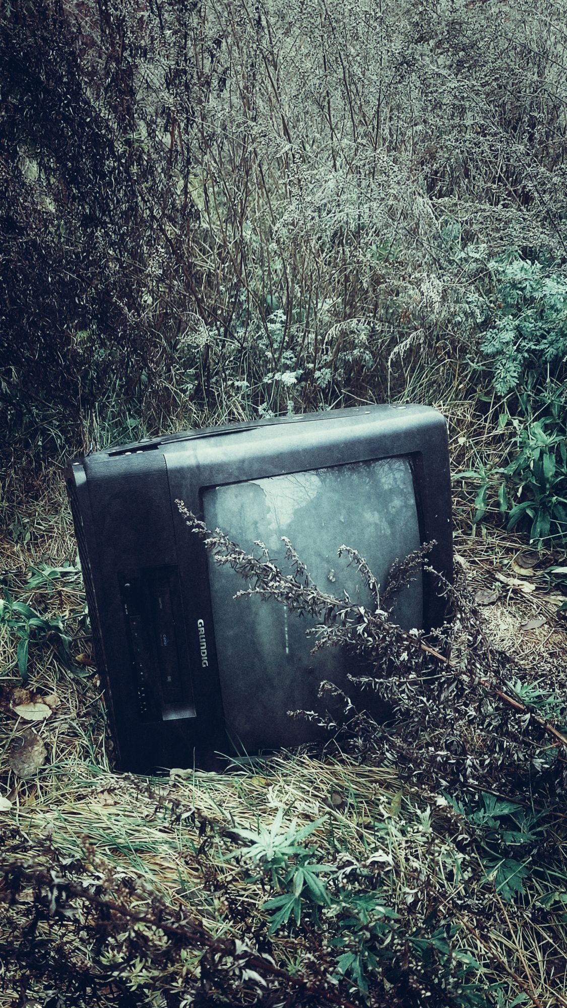 An old TV set abandoned in the green.