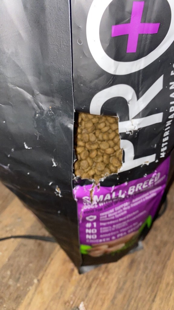 The bag of dog food with a hole scratched into it and eaten out of. 