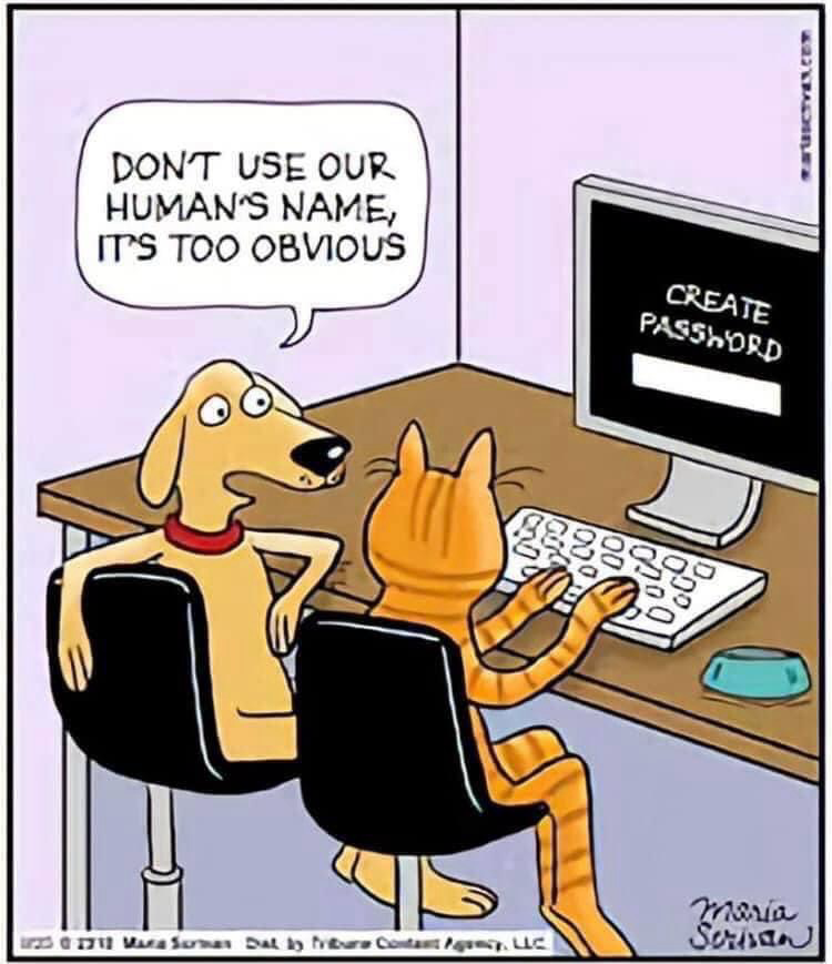 The comic shows a dog and a cat sitting in front of a computer. The cat is working on the computer and needs to set the password. The dog advises the cat not to use our human name as their password; it’s too obvious. 