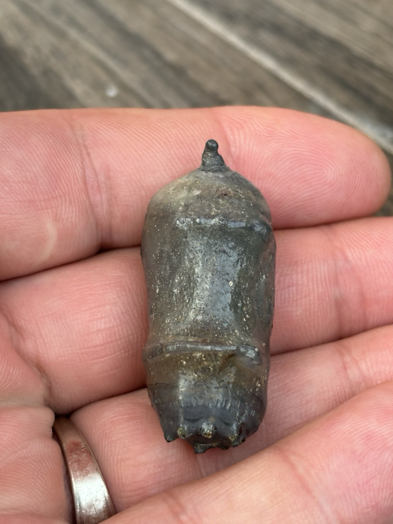 Picture of a small object found at a lake that feels like it could be glass or metal with one protrusion on one side and seven on the other 