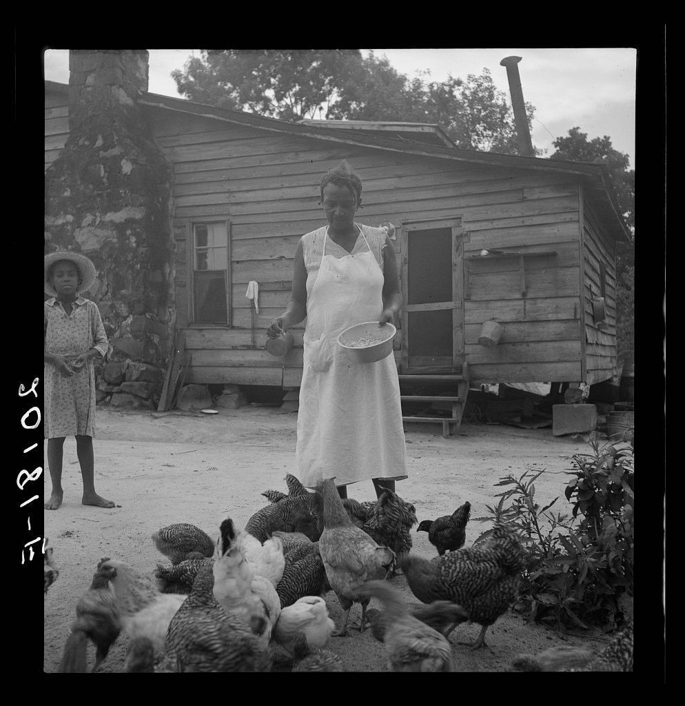  The image is a black and white photograph capturing a moment on a farm. In the center, there is a woman wearing a white dress standing in front of a wooden house with chickens scattered around her feet. She appears to be tending to the flock, as suggested by the bowl she holds in her hands. To her left stands a young girl observing the scene, possibly learning from or helping the woman. The overall setting suggests a rural and agricultural lifestyle, with the focus on daily chores like feeding and caring for livestock.