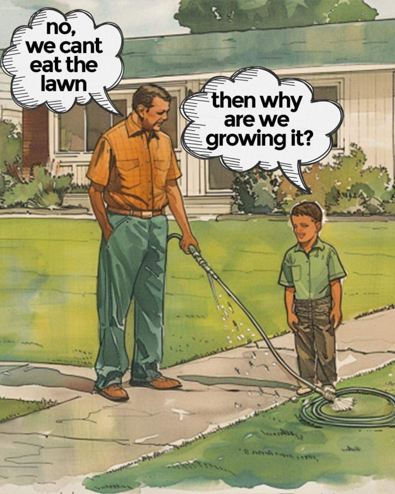 Comic strip

Father tells his son: No we can't eat the lawn

Sons responds: then why are we growing it?