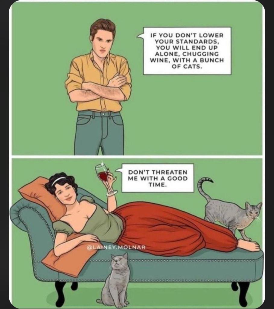 A two panel cartoon. A man with folded arms is in the top panel with a speech bubble “if you don’t lower your standards, you will end up alone, chugging wine, with a bunch of cats.”  In the panel below a woman is reclining on a green chaise lounge with orange cushions. She is wearing a green low cut top and flowing red pants. There are two grey cats, one in front of the lounge and one standing near her feet. Her speech bubble says “don’t threaten me with a good time” 