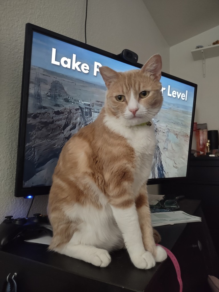 A dilute orange tabby sits atop a desk, directly in front of a TV screen displaying Glen Canyon Dam.