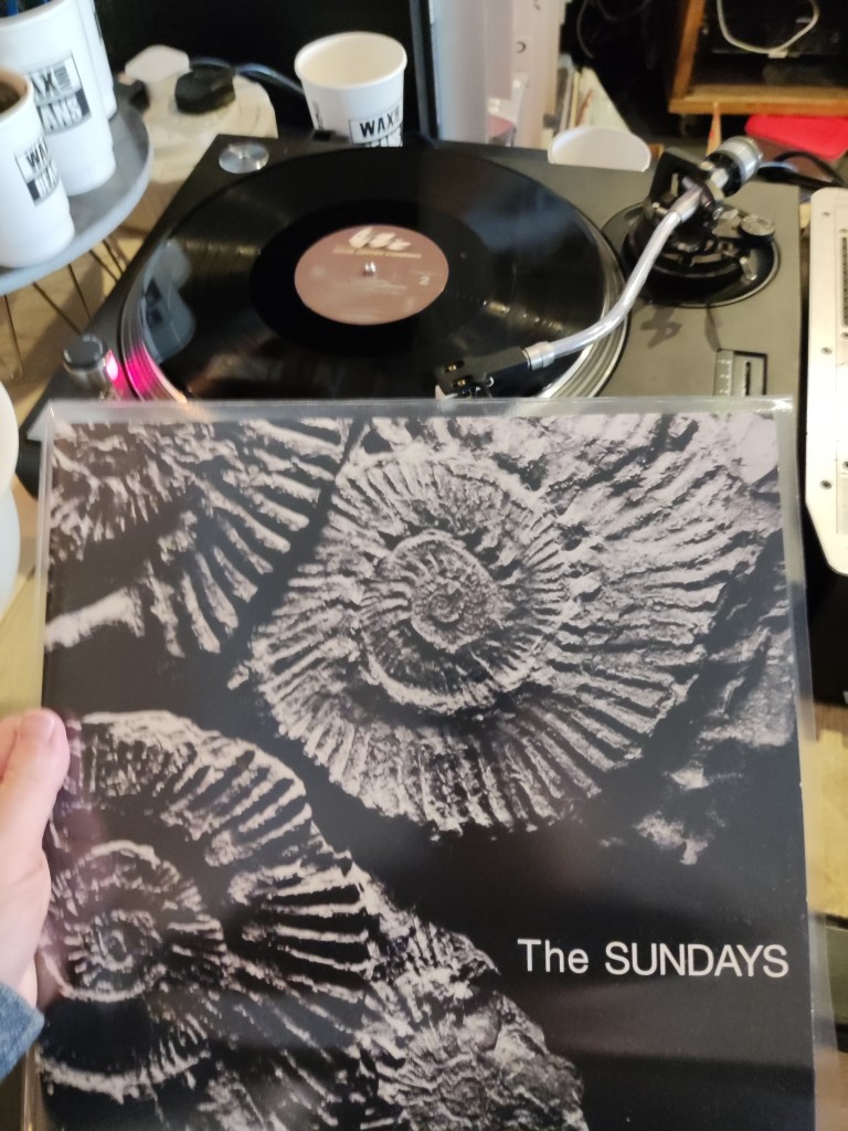 The Sundays Reading Writing and Arithmetic vinyl of shells on the cover 