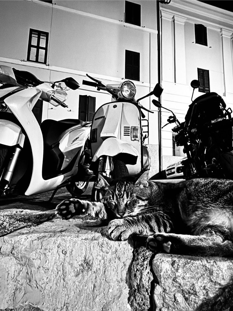 Cat sleeping in front of a parked white Vespa.