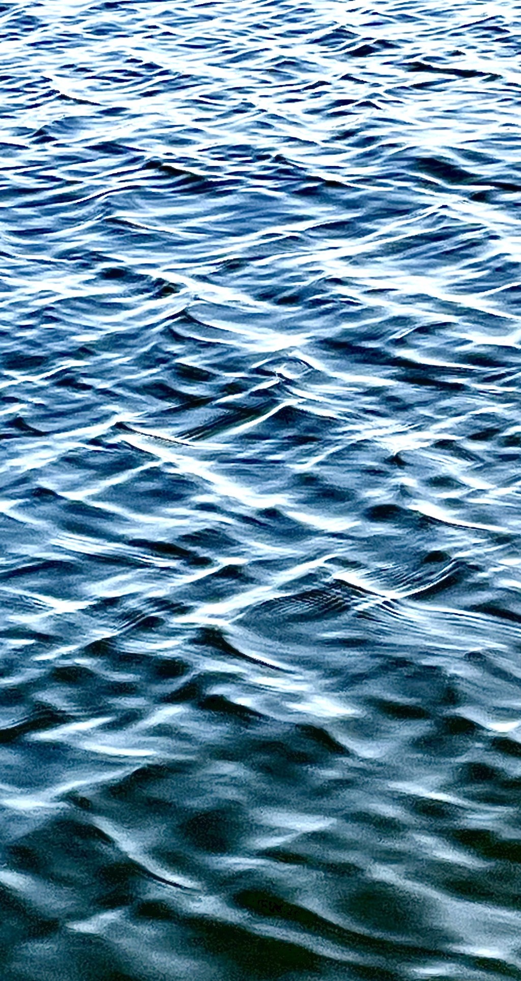 Rippling water surface with blue and white reflections.