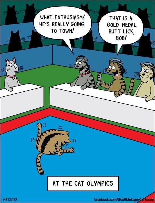 A cartoon showing cats at a competition named "Cat Olympics." One cat performs a seemingly impressive act while judges comment, “What enthusiasm! He's really going to town!” and “That is a gold-medal butt lick, Bob!”