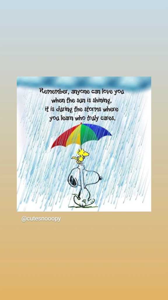 Snoopy im Regen, auf seinem Kopf Woodstock, der einen Schirm in Regenbogenfarben aufgespannt hat.
Über ihnen eine dunkle Sturmwolke. 
Text:
Remember, anyone can love you when the sun is shining.
It is during the storms where you learn who truly cares. 