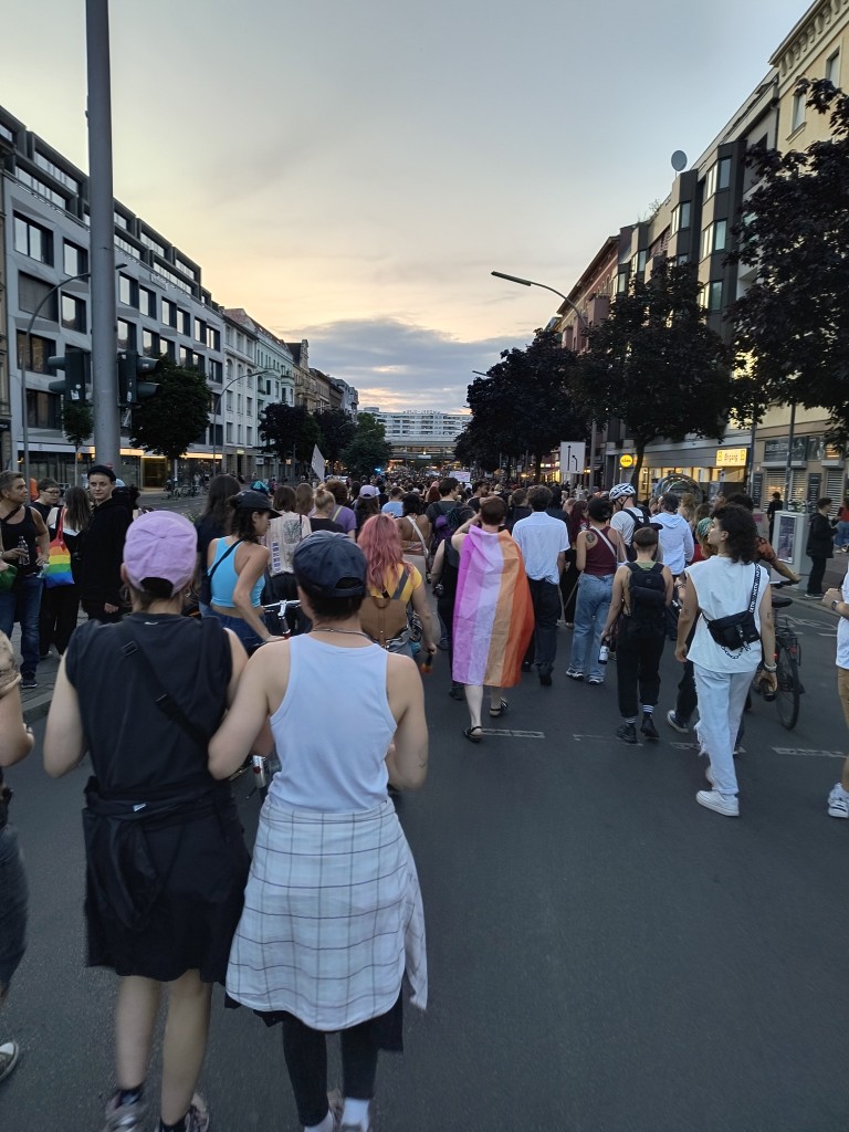 A large crowd marching on the street with various pride flags.