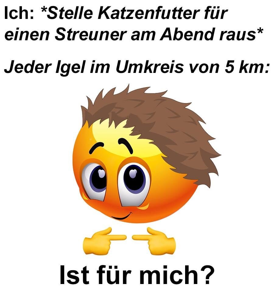 ich🦔iel