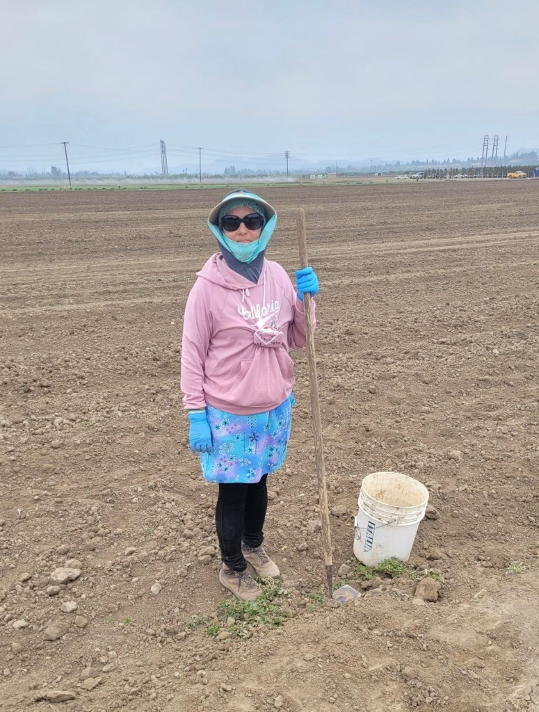 Farm workers standing where she is weeding a vegetable field