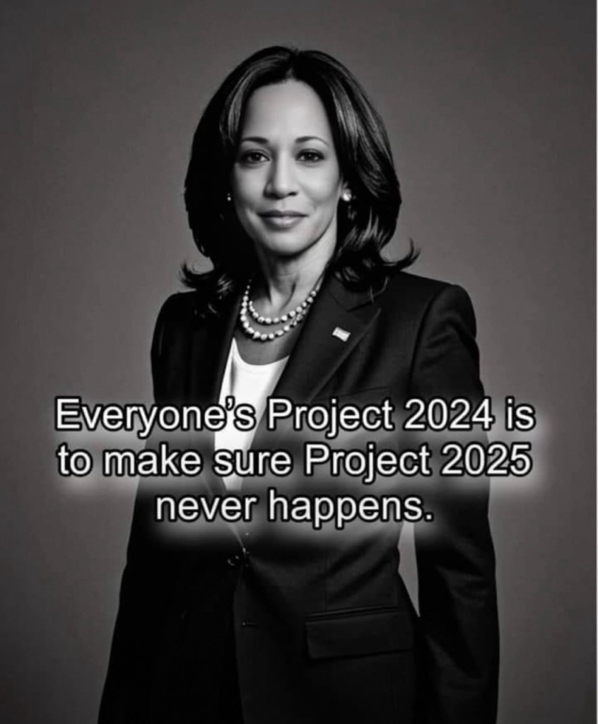 Picture of Kamala Harris with caption

Everyone's Project 2024 is to make sure Project 2025 never happens.