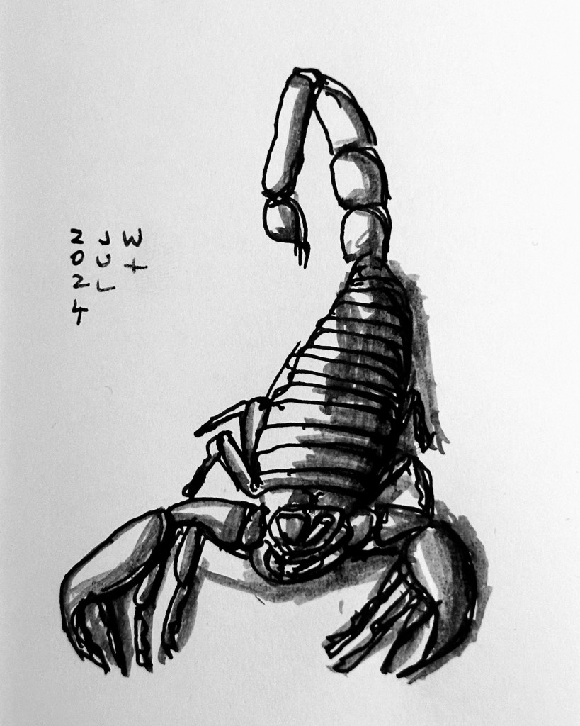 Ink sketch of a scorpion