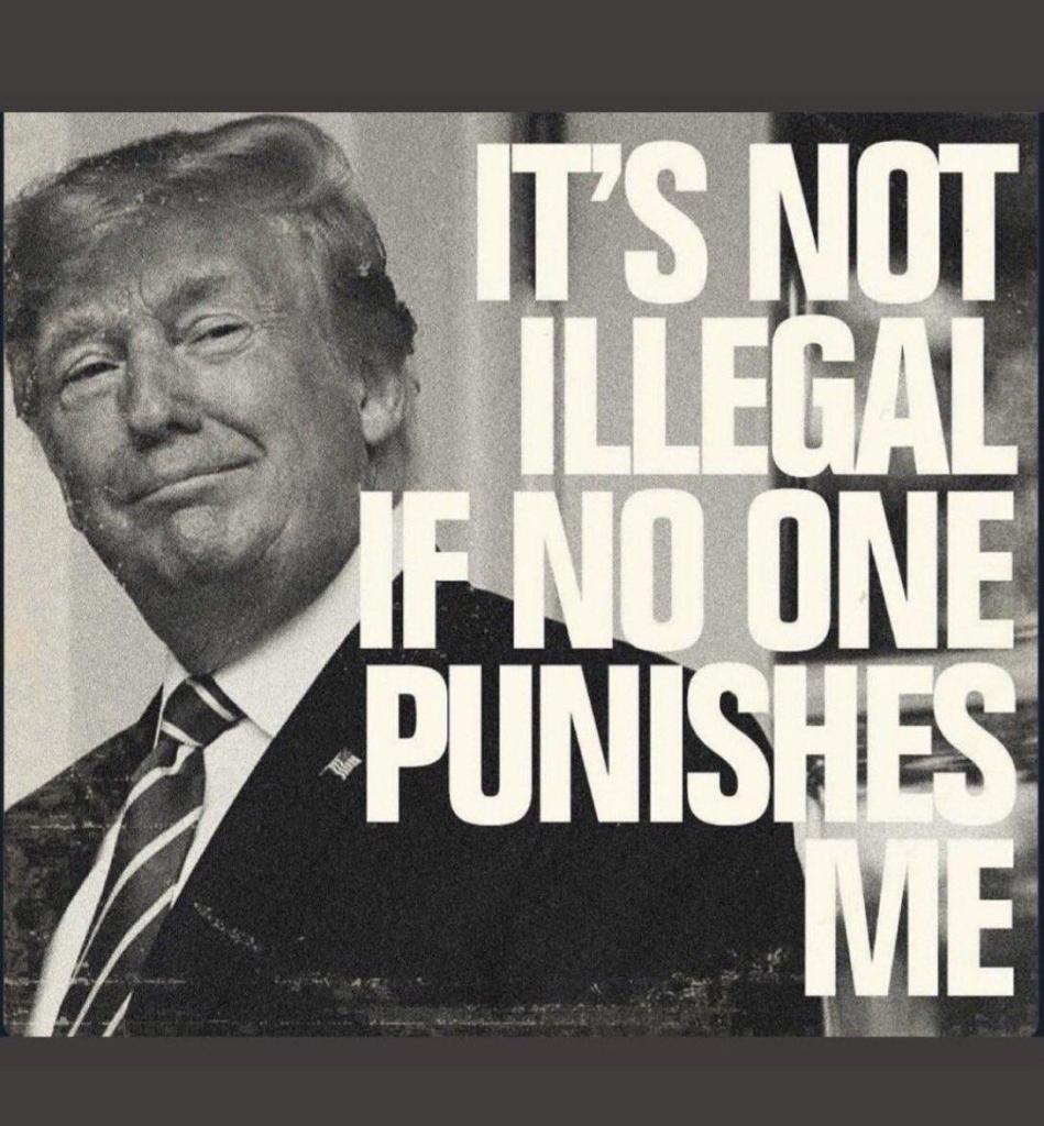 45 stares out smug from a black and white photo. Bold white words overtop: IT"S NOT ILLEGAL IN NO ONE PUNISHES ME.