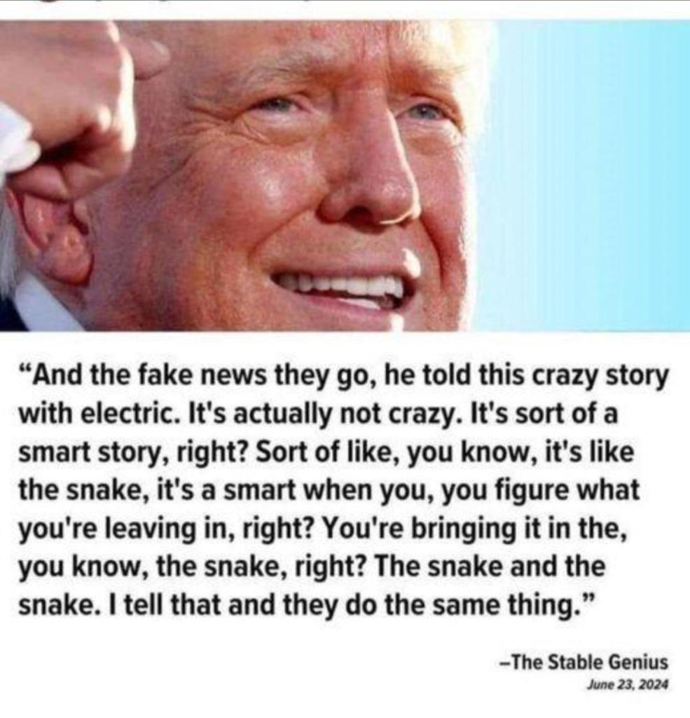 And the fake news they go, he told this crazy story with electric. It's actually not crazy. It's sort of a smart story, right? Sort of like, you know, it's like the snake. It's a smart when you, you figure what you're leaving in, right? You're bringing it in the, you know, the snake, right? The snake and the snake. I tell that and they do the same thing.