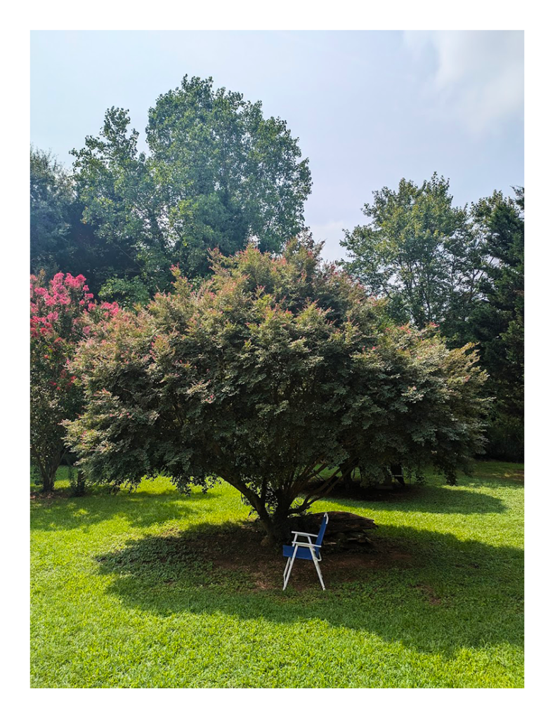 grassy yard with trees under a partly cloudy sky.