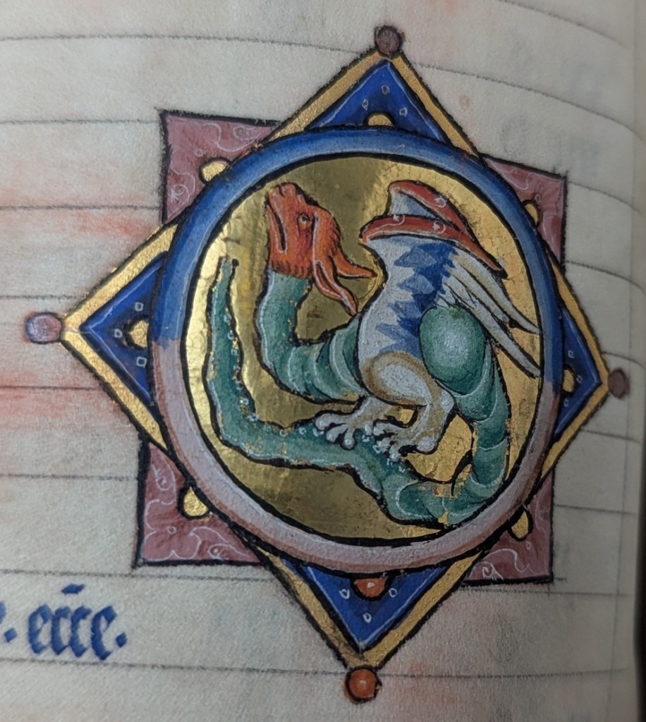 A gold outlined diamond shape framing a dragon with a red head, green neck grey/blue bodyand green tail. The dragon is looking up and to the left. Both feet are slightly stepping in it's own tail.