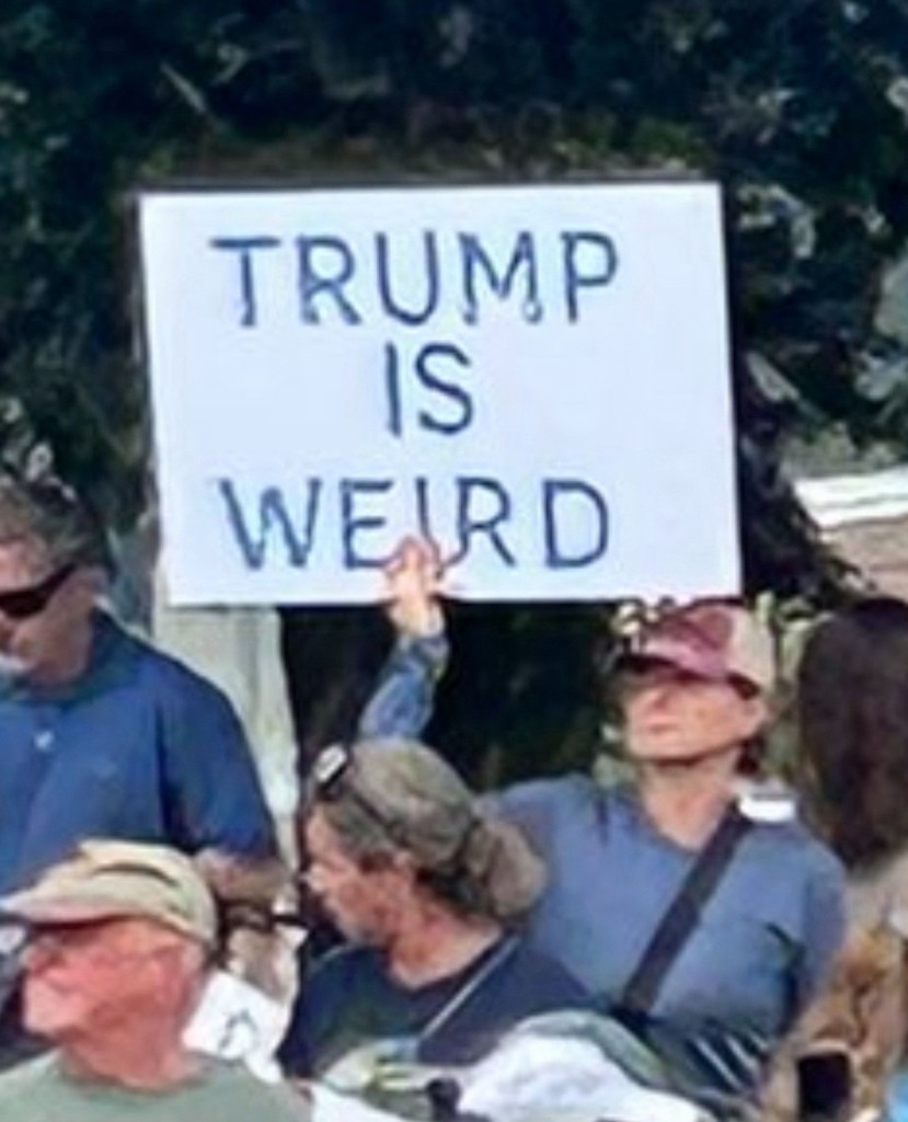 figure in a crowd holding up a sign reading TRUMP IS WEIRD 