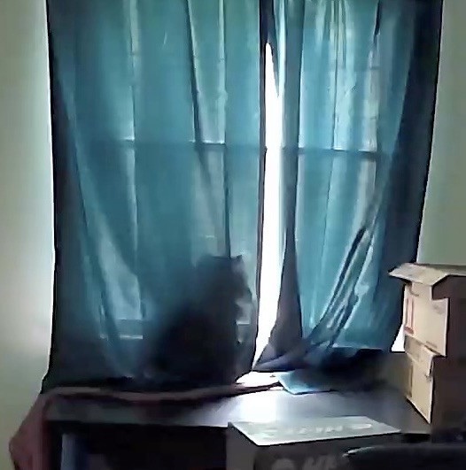 A black cat sitting on a table by a window with teal curtains. There are cardboard boxes stacked on the table.