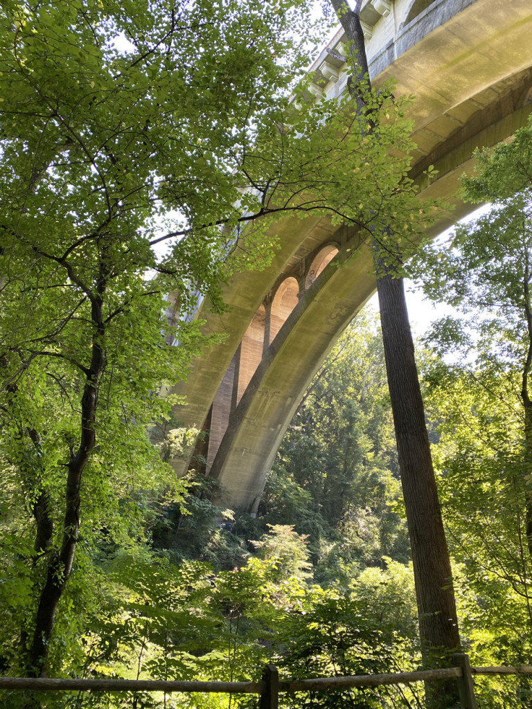 Shot of an overhead highway bridge visible through the trees.  The light is hitting it from the other side and making the arched interior supports glow.  (It's a relatively modern cement bridge, but this light just transformed it!)  At the bottom of the photo is the split-rail fence that lines the paved portion of this hiking trail.