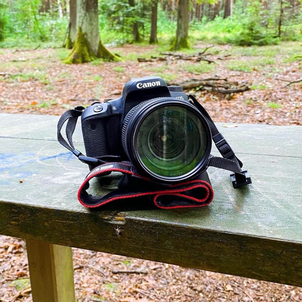 Eine Canon DSLR-Kamera mit einem großen Objektiv sitzt auf einem hölzernen Picknicktisch in einem Wald.