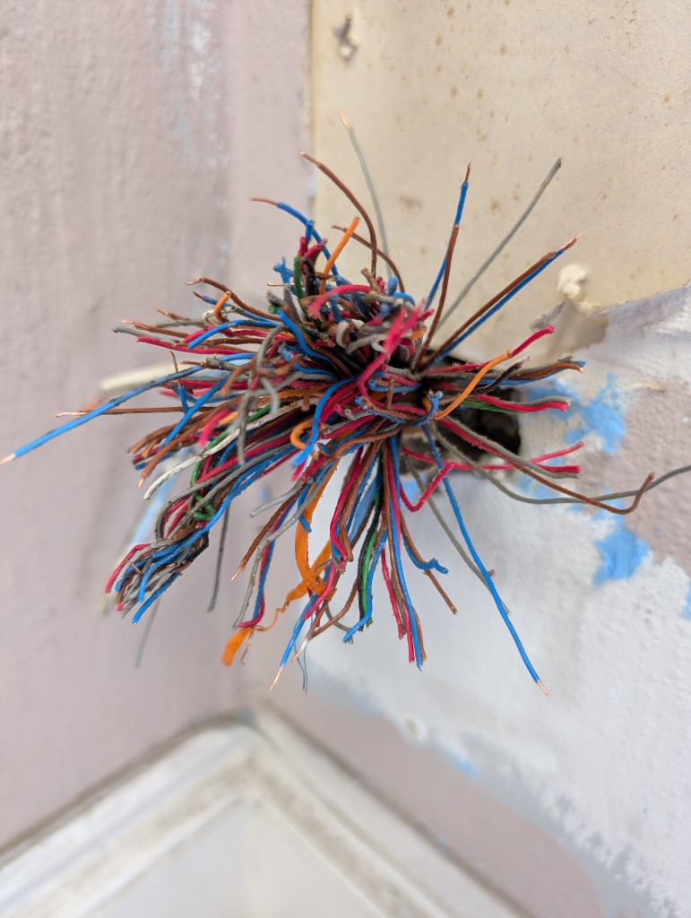 A close up of the inbound 100pair telephone cable (200 wires).. cut very short and with no hope of finding the correct wire.