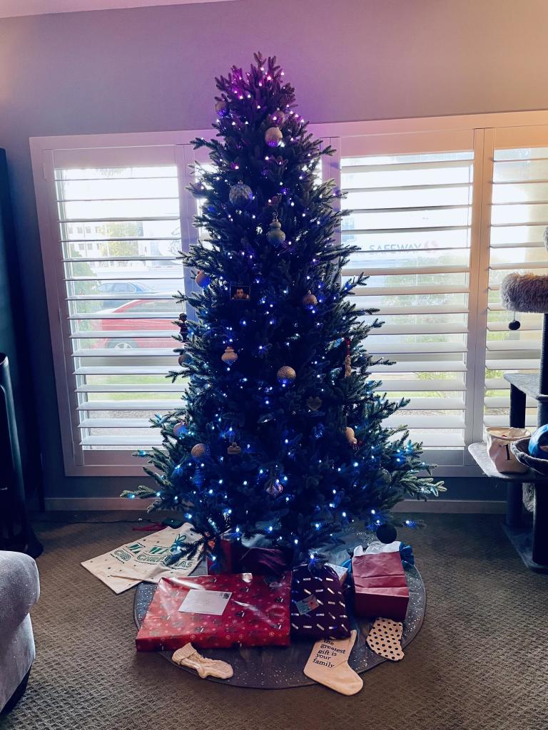 A seven foot tall artificial Christmas tree stands before a large window with white shutters opened. Small blue-ish lights dominate the tree, with sparse muted-colored ornaments. Under the tree are several wrapped gifts. 