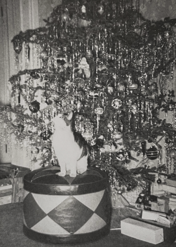 Black and white photo of a shorthaired tuxedo tabby cat sitting on an ottoman in front of a Christmas tree that is packed with tons of tinsel and ornaments.