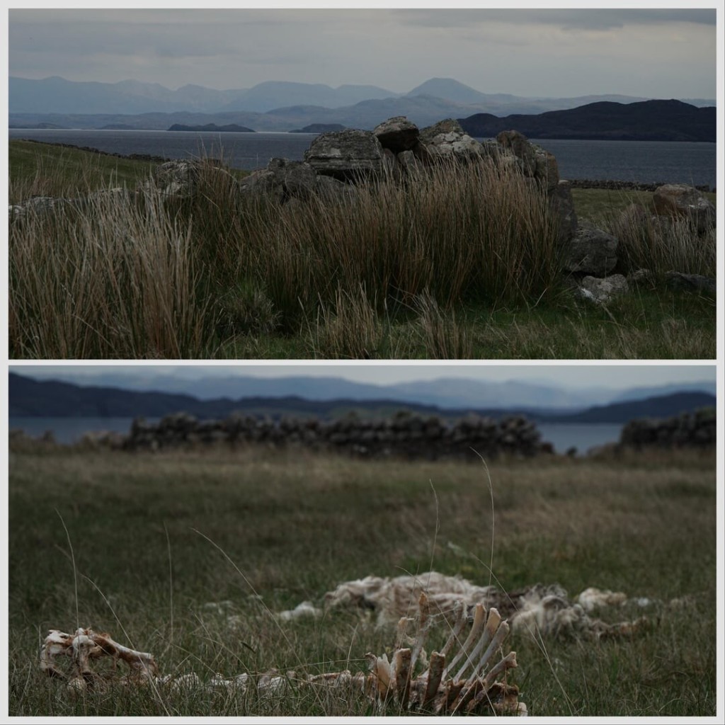 Scottish wilderness 