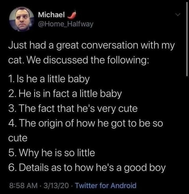 By Michael on X

Just had a great conversation with my cat. We discussed the following:
1. Is he a little baby
2. He is in fact a little baby
3. The fact that he's very cute
4. The origin of how he got to be so cute
5. Why he is so little
6. Details as to how he's a good boy