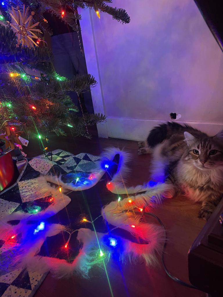 A large fluffy cat lies in the corner against a wall and a piano leg. In front of him is a lighted flat novelty cat like Christmas Vacation. Above is the tree and lights.