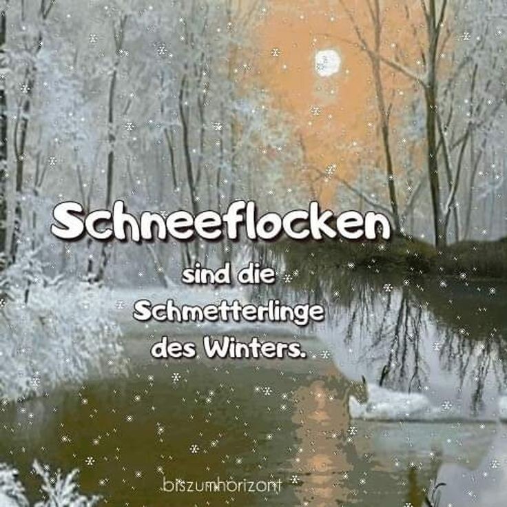 Verschneite Winterlandschaft mit Bäumen, Schneeflocken,
weißer Text:
"Schneeflocken sind die Schmetterlinge des Winters."
biszumhorizont