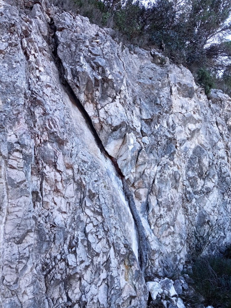 Imagen de una pared rocosa de unos 3 metros en la que se ve una fractura vertical bastante grande. En su parte baja asoma la raíz de un pino que ha ido siguiendo esa grieta.