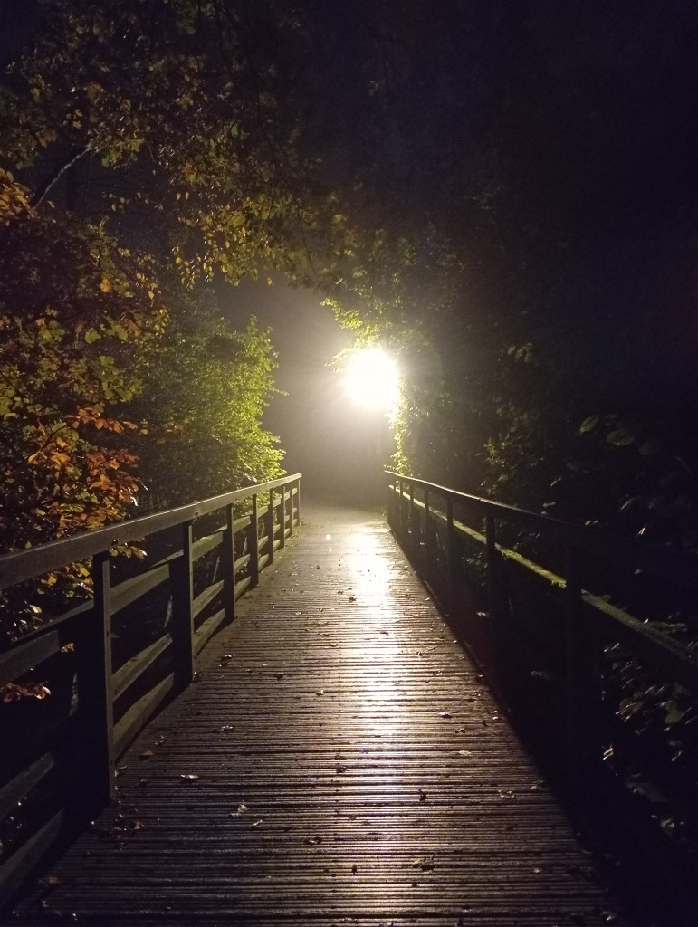 Blick über eine kleine Holzbrücke eines Fußwegs bei Dunkelheit, ein gleißend helle Laterne scheint am anderen Ende der Brücke. Rundherum Blätter und Bewuchs.