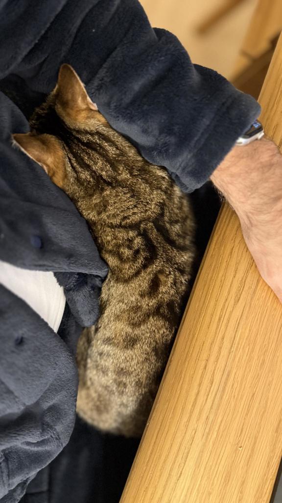 A cozy scene featuring a cat curled up beside a person's arm on a table. The person is wearing a dark fleece jacket, and a wooden table is partially visible.