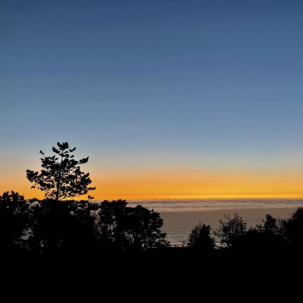 A view out over a body of water; silhouetted trees in the foreground; the water has a layer of fog on it. Above the fog, the sun has set and so the sky is orange at the horizon and progressively changes color as you look higher, through a bit of green to darker and darker blue.  There' a star just faintly visible above one of the trees.