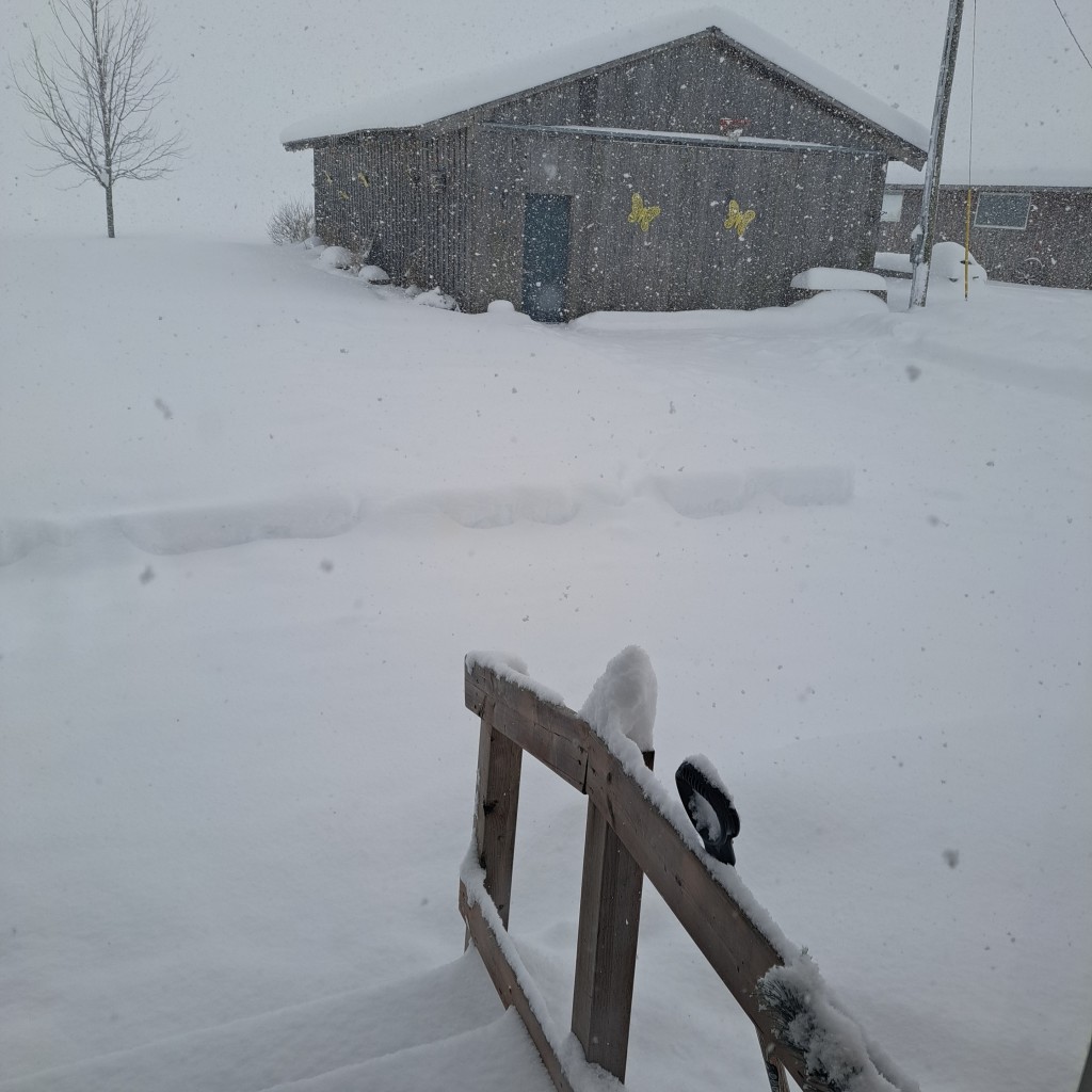 A picture out a window of snowbcovering everything, including a light brown grey barn