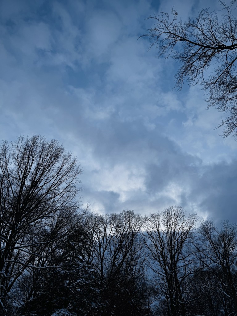 The sky just before sunset on the winter solstice. The sky is partly cloudy and a deep blue. Snow covered tree branches frame the sky. 