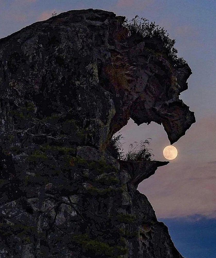 A large, dark, rocky outcrop shaped like a horse's head is silhouetted against a twilight sky.  Small plants grow in crevices on the rock. A full moon is visible through an opening in the rock formation, appearing to rest just behind the horse's head. The sky is a gradient of purple and dark blue.