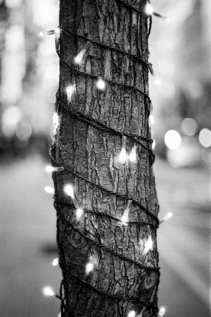 Black and white film photo of fairy lights on a tree in Tokyo. 