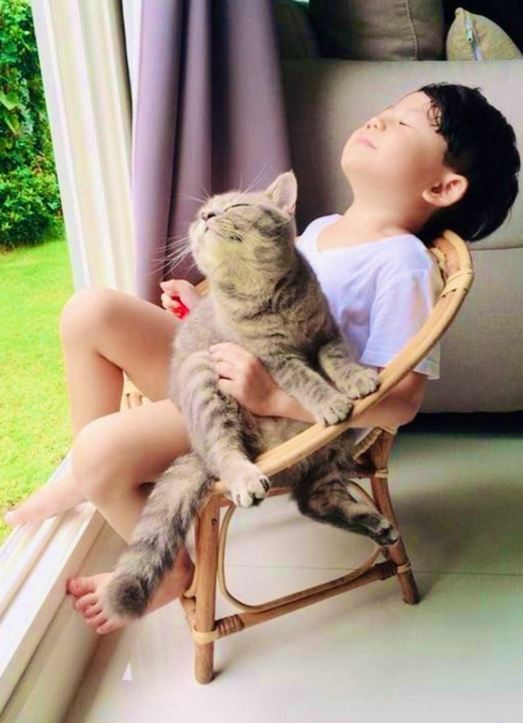 A young boy sits in a child’s chair in front of a window letting the sun in on his face. As does his cat! They’re snuggled up together in rapturous rest. 