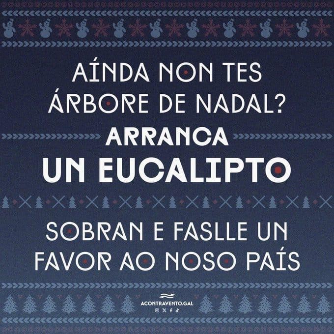 Aínda non tes árbore de nadal?
Arranca un eucalipto
Sobran e faslle un favor ao noso país